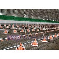 دانخوری بشقابی دانخوری بشقابی